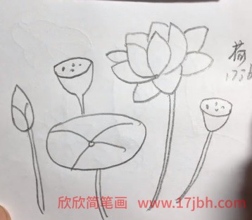 荷花怎么画简笔画图片 荷花简笔画简单步骤