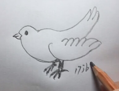 鸽子怎么画