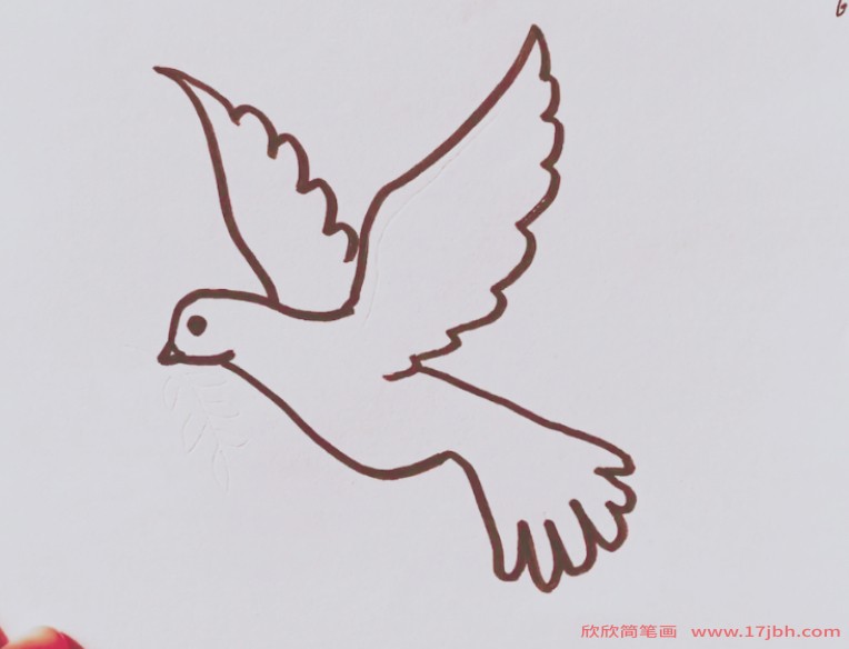 白鸽简笔画涂色 白鸽怎么画-和平鸽简笔画-欣欣简笔画
