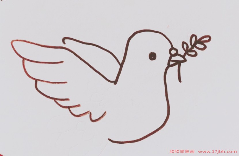 吉祥鸽简笔画 吉祥鸽怎么画-和平鸽简笔画-欣欣简笔画