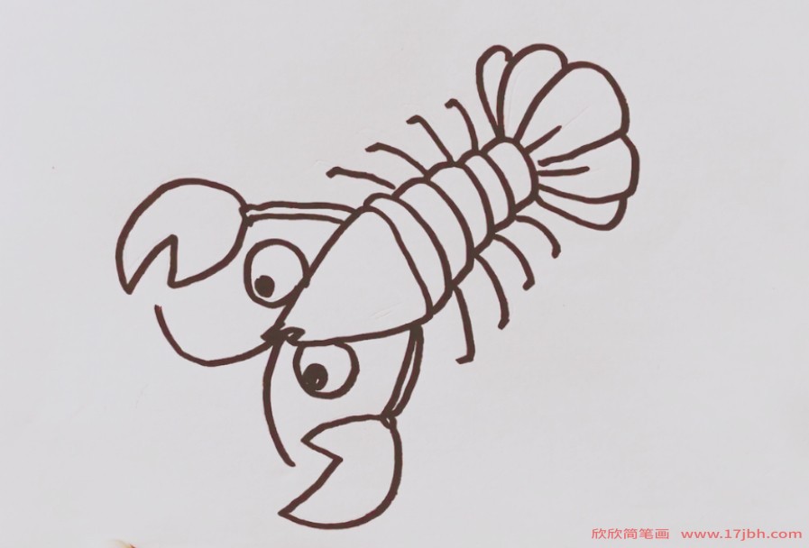 虾的简笔画步骤虾怎么画图片