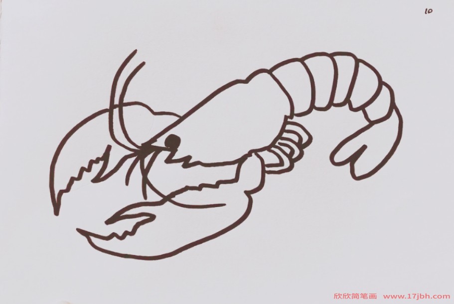 儿童简笔画大虾大虾怎么画