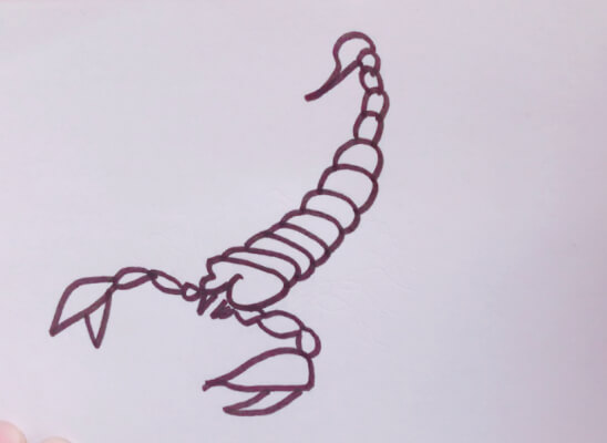 儿童简笔画蝎子蝎子怎么画