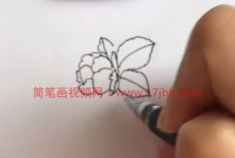 山茶花怎么画简笔画