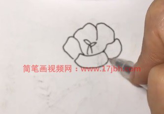 凌霄花简笔画图片