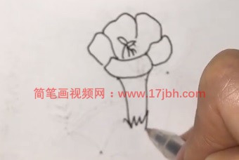 凌霄花简笔画图片