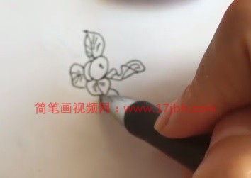 柿子简笔画涂色