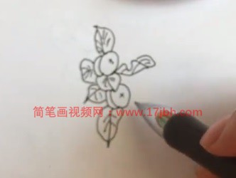 柿子简笔画涂色