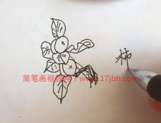 柿子简笔画涂色