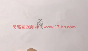 广玉兰简笔画