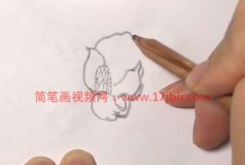 广玉兰简笔画