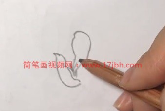 玉兰花的简笔画