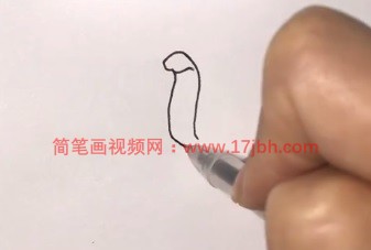 郁金香简笔画图片