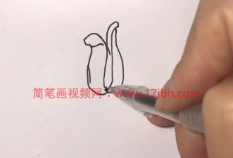 郁金香简笔画图片