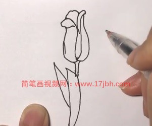 郁金香简笔画图片