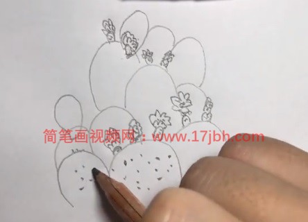 仙人掌图片简笔画