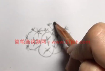 仙人球简笔画图片