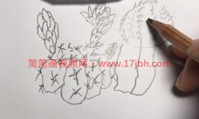 仙人球简笔画图片