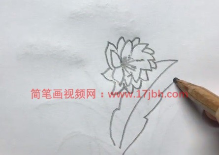 令箭荷花简笔画