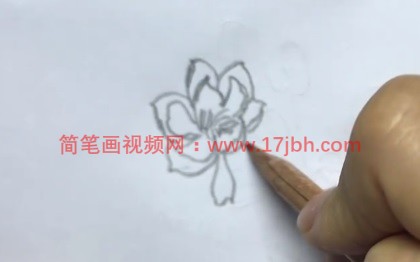 昙花简笔画