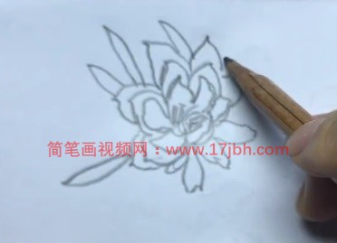 昙花简笔画