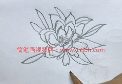 昙花简笔画
