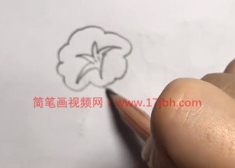 牵牛花的简笔画图片