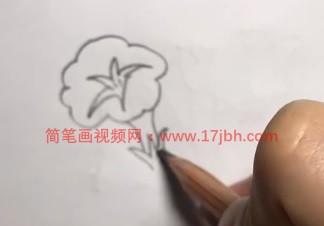 牵牛花的简笔画图片