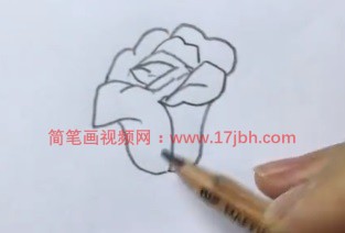 玫瑰花简笔画步骤