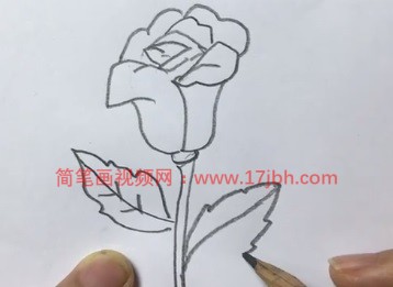 玫瑰花简笔画步骤