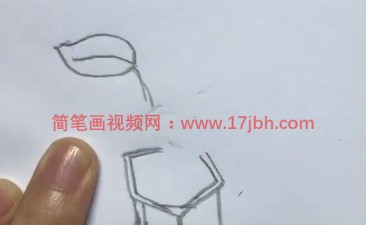 白掌简笔画