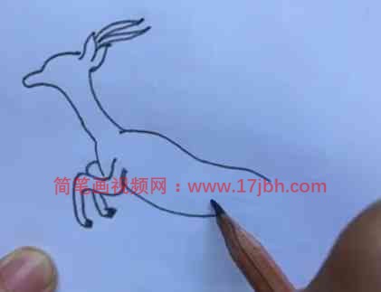藏羚羊简笔画