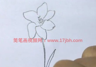 小花图片简笔画彩色