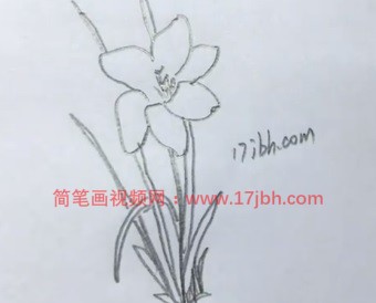 小花图片简笔画彩色