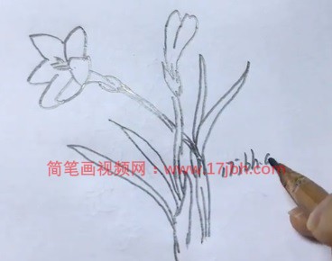 小花简笔画彩色