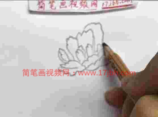 怎么画牡丹花的简笔画