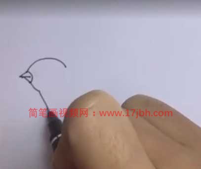 画鸟的简笔画画法步骤