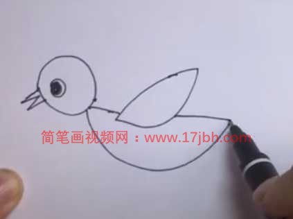 幼儿飞鸟简笔画