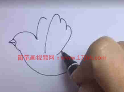 画鸟的简笔画画法步骤