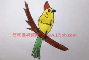 小鸟的简笔画图片大全