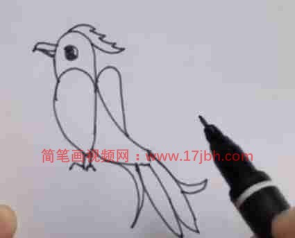 落在树上的小鸟简笔画