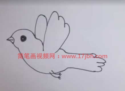 画鸟的简笔画画法步骤