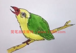 小鸟的简笔画图片大全