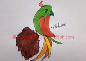 鹦鹉的简笔画图片大全