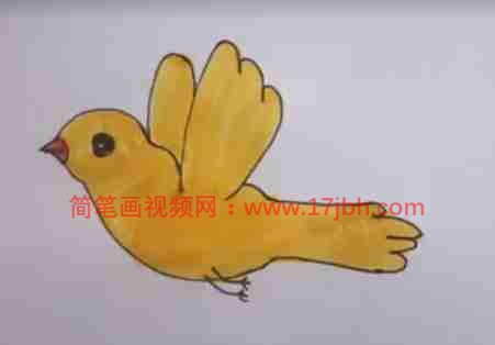 画鸟的简笔画画法步骤