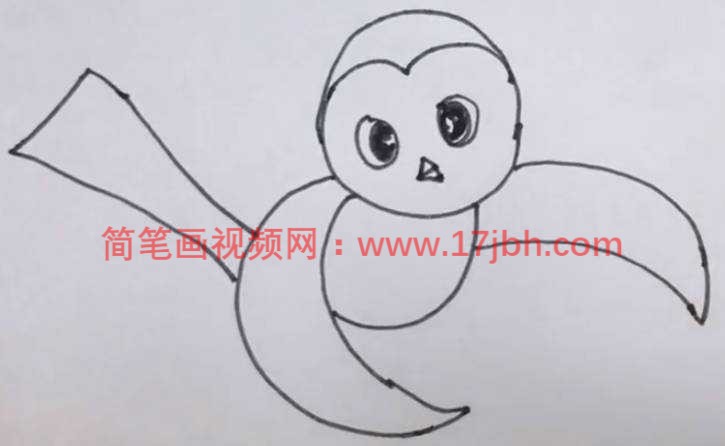 小鸟图片简笔画颜色