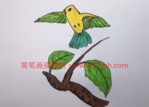 小鸟的简笔画图片大全