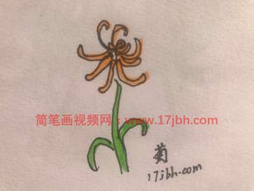 幼儿菊花简笔画