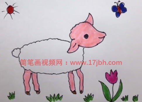 简笔画小羊的画法