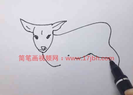 画羊简笔画步骤